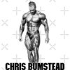 Chris Bumstead CBum Bodybuilder Tapestries Official Cbum Merch