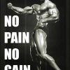 Arnold Schwarzenegger No Pain No Gain Tank tops Official Cbum Merch